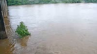 West Columbia - Congaree River