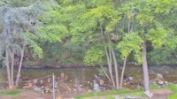 Big Sur - Big Sur River Inn