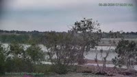 Westminster - Standley Lake Regional Park - Weißkopfseeadler