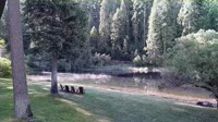 Quincy - Greenhorn Dude Ranch