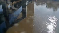 Cayce - Congaree River