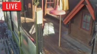 Vignette