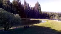 Quincy - Greenhorn Dude Ranch