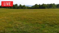 LaFollette - Hatfield Knob Elk