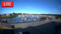 Point Roberts - Marina