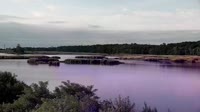 Surry - Hog Island - Wildlife Management Area