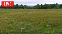 LaFollette - Hatfield Knob Elk