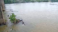 West Columbia - Congaree River