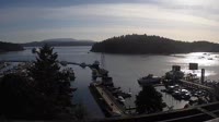 Friday Harbor - Kolekcija