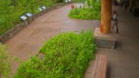 West Glacier - Apgar Visitor Center