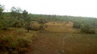La Democracia - Monkey Bay Wildlife Sanctuary
