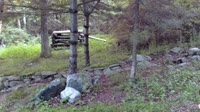 Lewisboro - Wolf Conservation Center