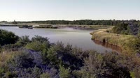 Surry - Hog Island - Wildlife Management Area