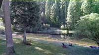 Quincy - Greenhorn Dude Ranch