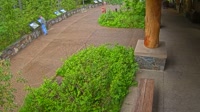 West Glacier - Apgar Visitor Center