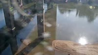 Cayce - Congaree River