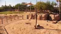 Tucson - Reid Park Zoo