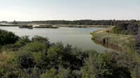 Surry - Hog Island - Wildlife Management Area