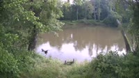 Bent Creek - French Broad River