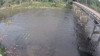 Asheville - French Broad River