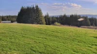 Fritz Creek - Kenai Peninsula