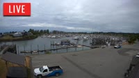 Point Roberts - Marina