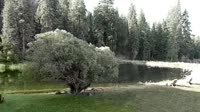 Quincy - Greenhorn Dude Ranch