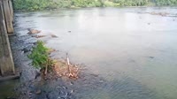West Columbia - Congaree River