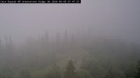 Isle Royale National Park - Greenstone Ridge