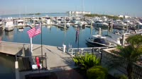 Tampa - Westshore Yacht Club Marina