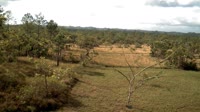 La Democracia - Monkey Bay Wildlife Sanctuary