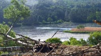 Quechee - VINS Nature Center - Bald Eagles nest