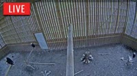 Brookfield - Raptor Flight Facility