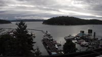 Friday Harbor - Mehrere Webcams