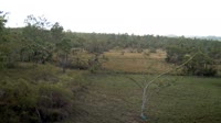 La Democracia - Monkey Bay Wildlife Sanctuary