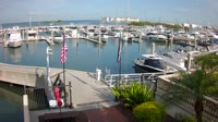 Tampa - Westshore Yacht Club Marina