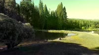 Quincy - Greenhorn Dude Ranch