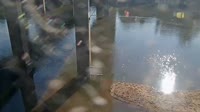 Cayce - Congaree River