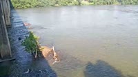 West Columbia - Congaree River