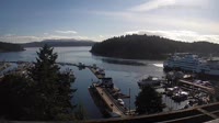 Friday Harbor - Raccolta di webcam