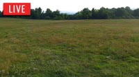 LaFollette - Hatfield Knob Elk