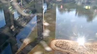 Cayce - Congaree River