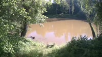 Bent Creek - French Broad River