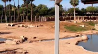 Tucson - Reid Park Zoo
