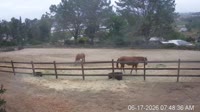 San Diego - Foaling stall