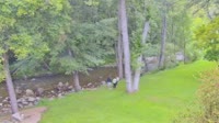Big Sur - Big Sur River Inn