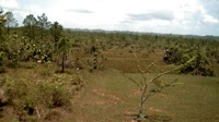 La Democracia - Monkey Bay Wildlife Sanctuary