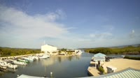 Placencia - Hummingbird Marina
