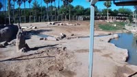 Tucson - Reid Park Zoo
