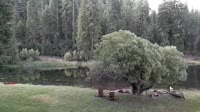 Quincy - Greenhorn Dude Ranch